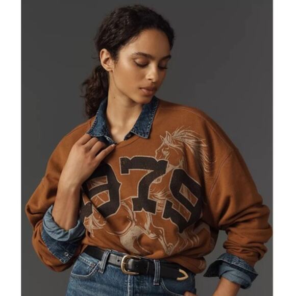 Anthropologie Tops - Anthropologie Pilcro 1979 Horse Sweatshirt